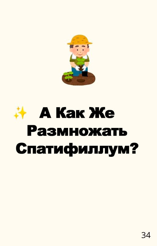 "Спатифиллум Для Вас" - Полный Гид По Уходу (rus.)
