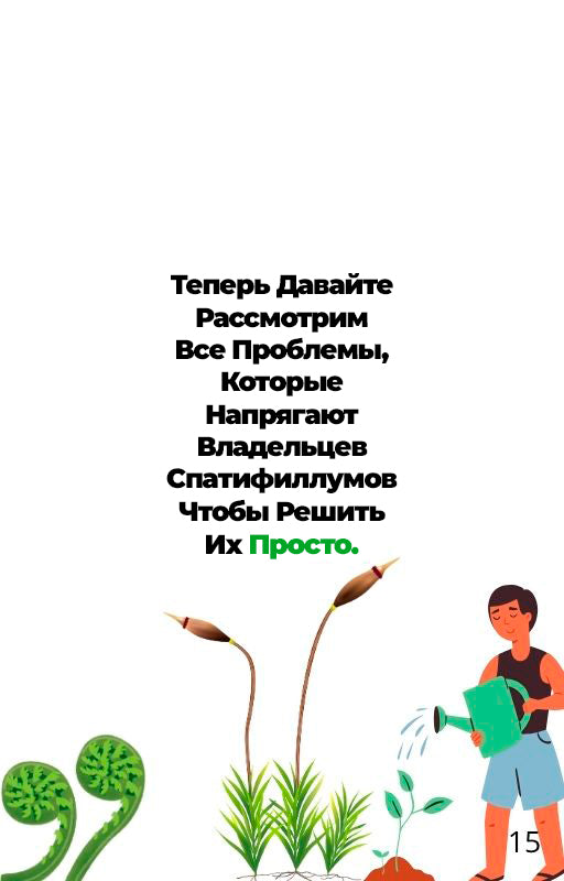 "Спатифиллум Для Вас" - Полный Гид По Уходу (rus.)