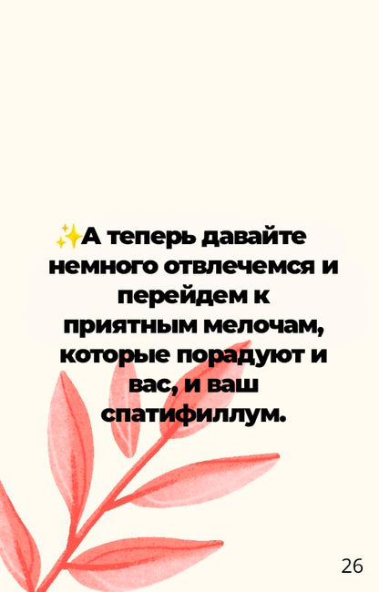 "Спатифиллум Для Вас" - Полный Гид По Уходу (rus.)