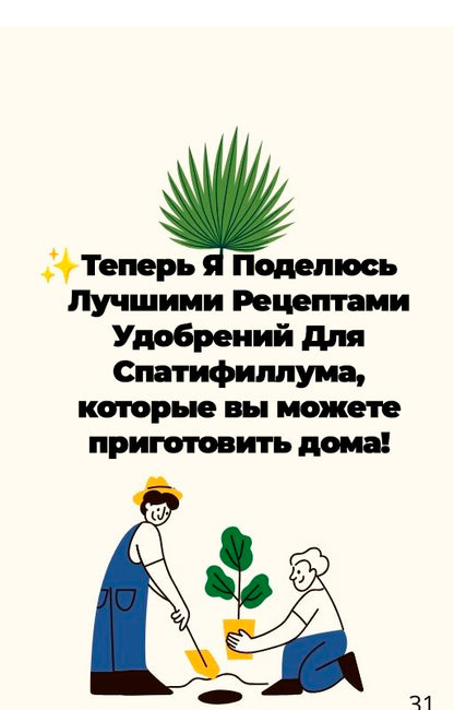 "Спатифиллум Для Вас" - Полный Гид По Уходу (rus.)