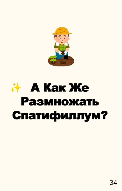 "Спатифиллум Для Вас" - Полный Гид По Уходу (rus.)
