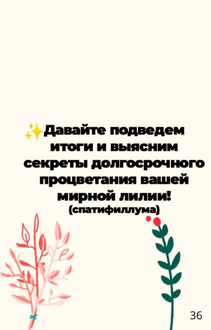 "Спатифиллум Для Вас" - Полный Гид По Уходу (rus.)