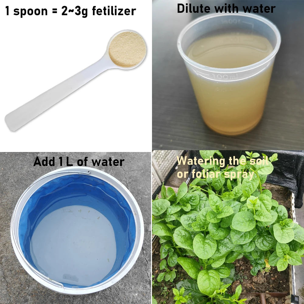 Organic Bioactive All-Directional Universal Fertilizer - "Bacillus Licheniformis", 30g.