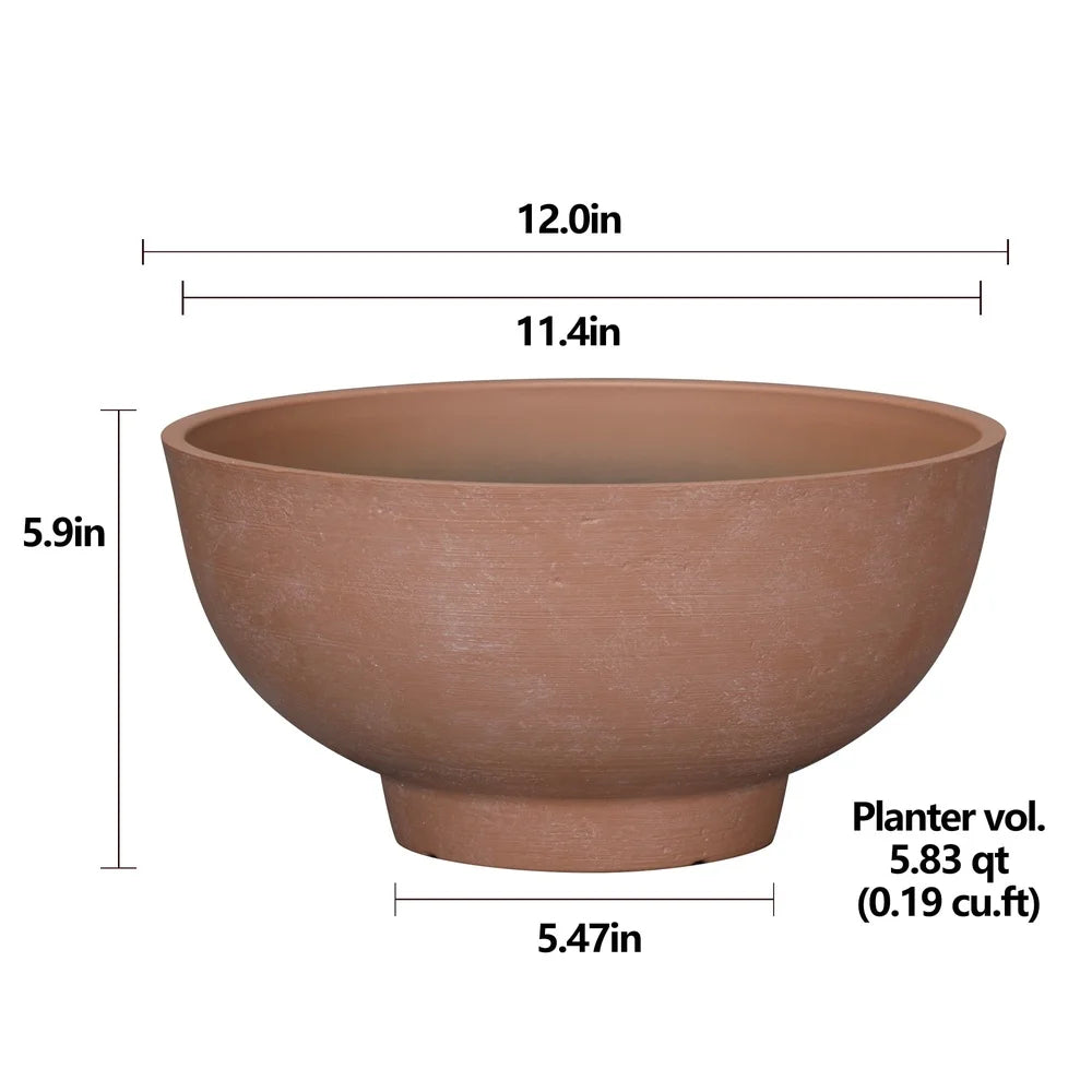 Designer Terracotta Planter 12" x 6"