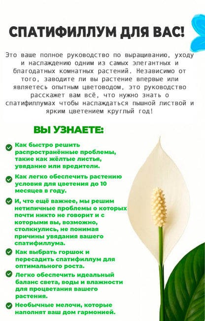 "Спатифиллум Для Вас" - Полный Гид По Уходу (rus.)
