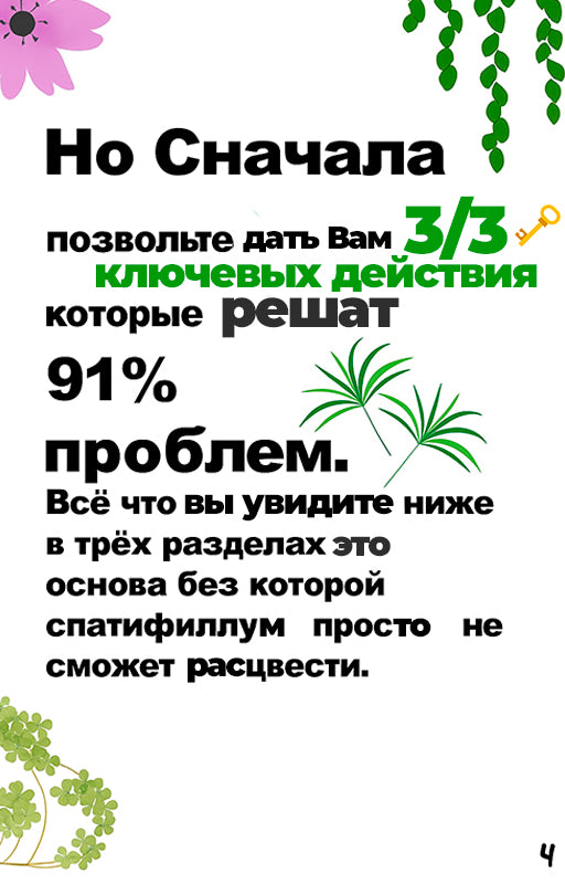 "Спатифиллум Для Вас" - Полный Гид По Уходу (rus.)