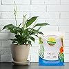 Peace Lily Potting Soil Mix (2 Quarts)