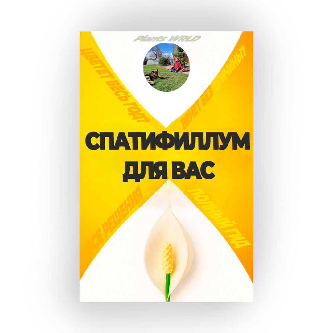 "Спатифиллум Для Вас" - Полный Гид По Уходу (rus.)