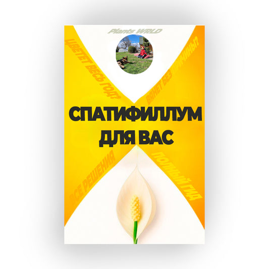 "Спатифиллум Для Вас" - Полный Гид По Уходу (rus.)