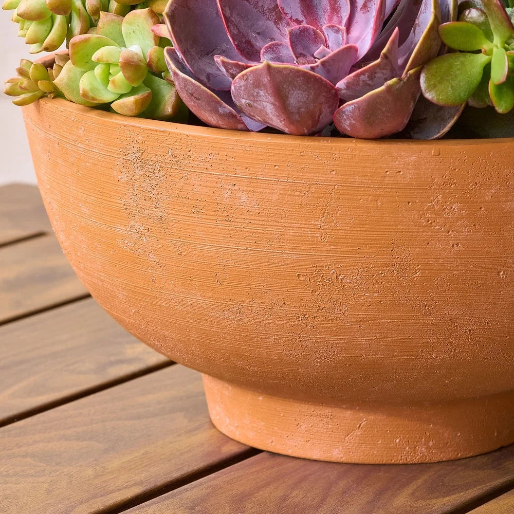 Designer Terracotta Planter 12" x 6"