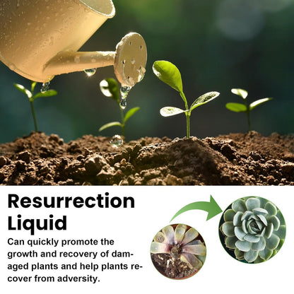 Plant Resurrection Liquid 50ml Concentrate