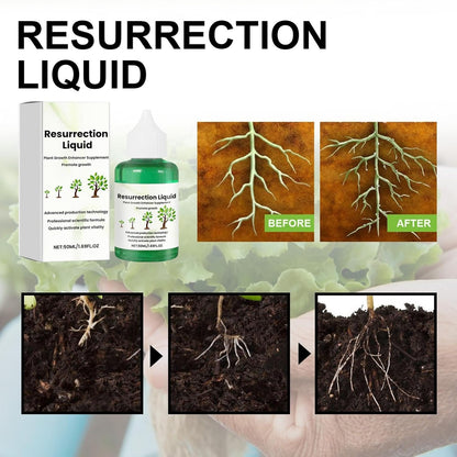 Plant Resurrection Liquid 50ml Concentrate
