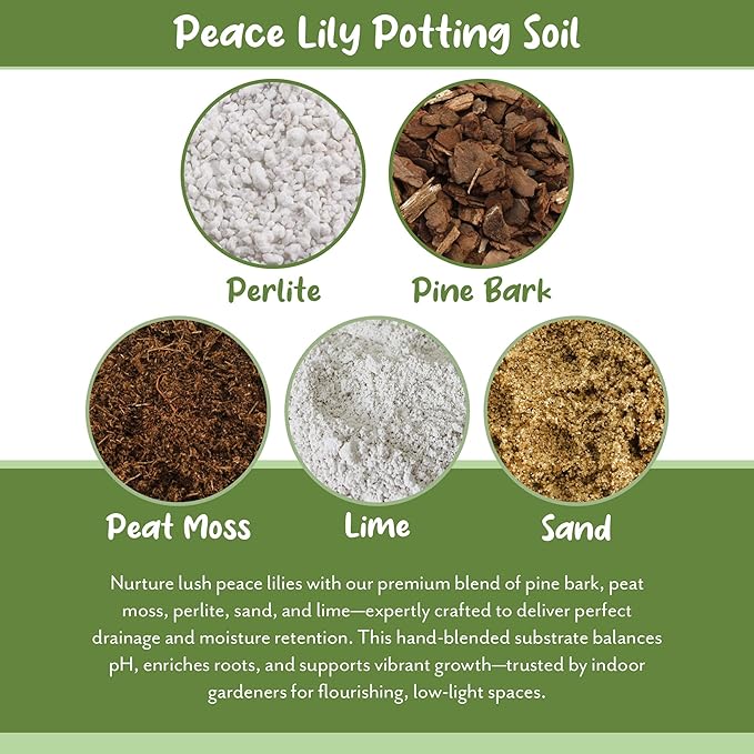 Peace Lily Potting Soil Mix (2 Quarts)