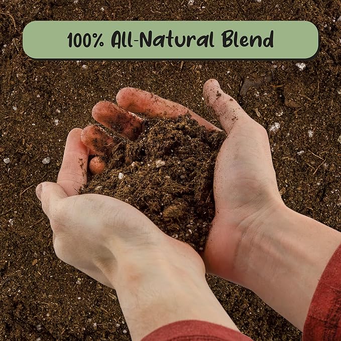 Peace Lily Potting Soil Mix (2 Quarts)