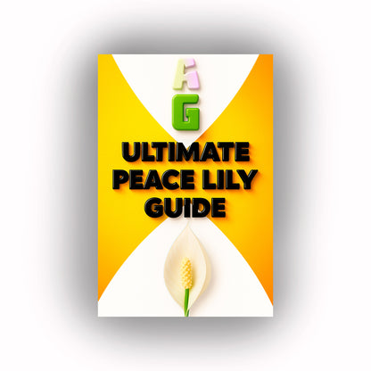 Peace Lily ULTIMATE Care Guide