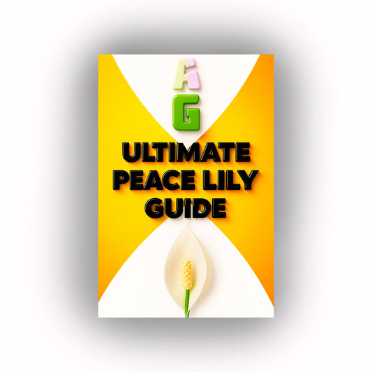 Peace Lily ULTIMATE Care Guide