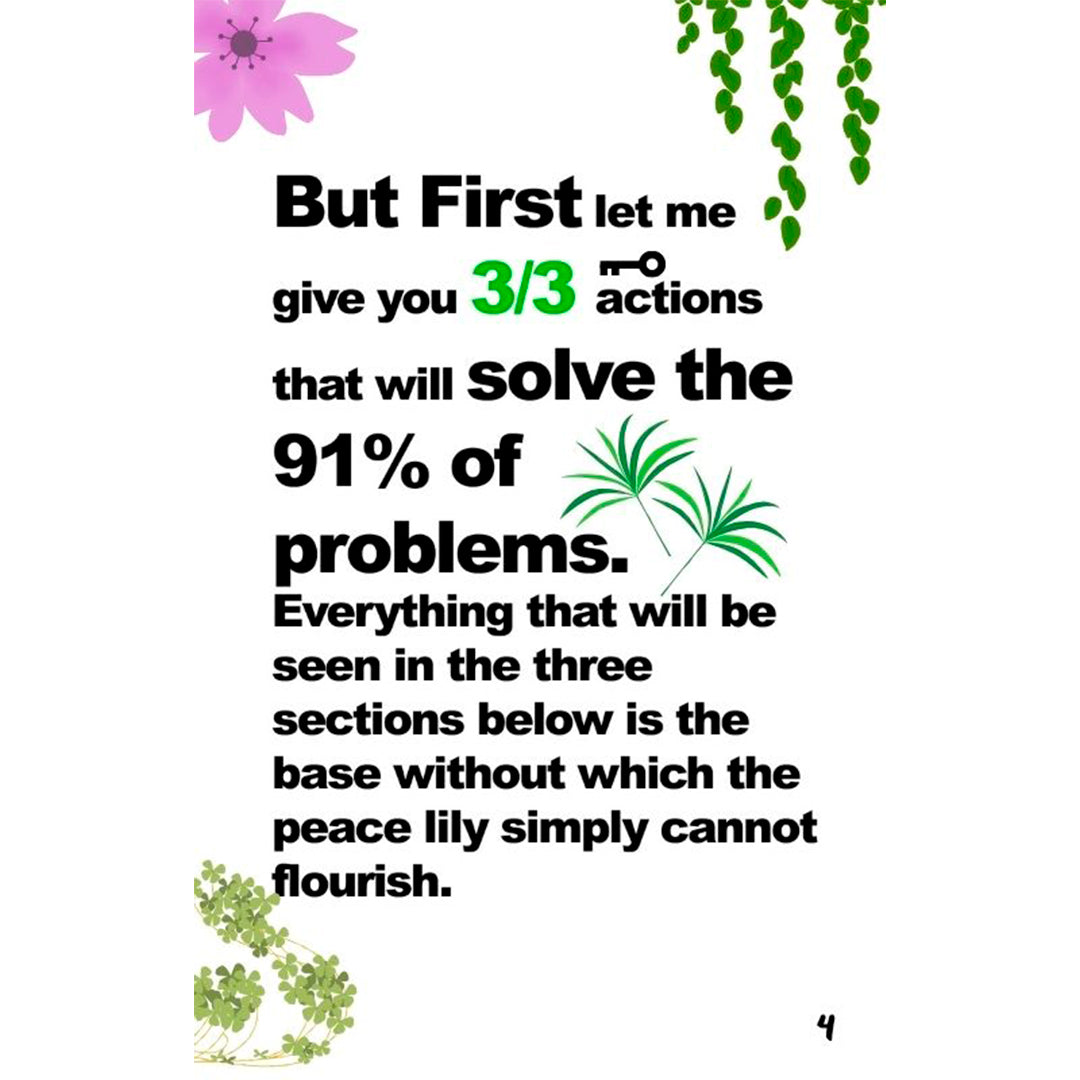 Peace Lily ULTIMATE Care Guide (En)