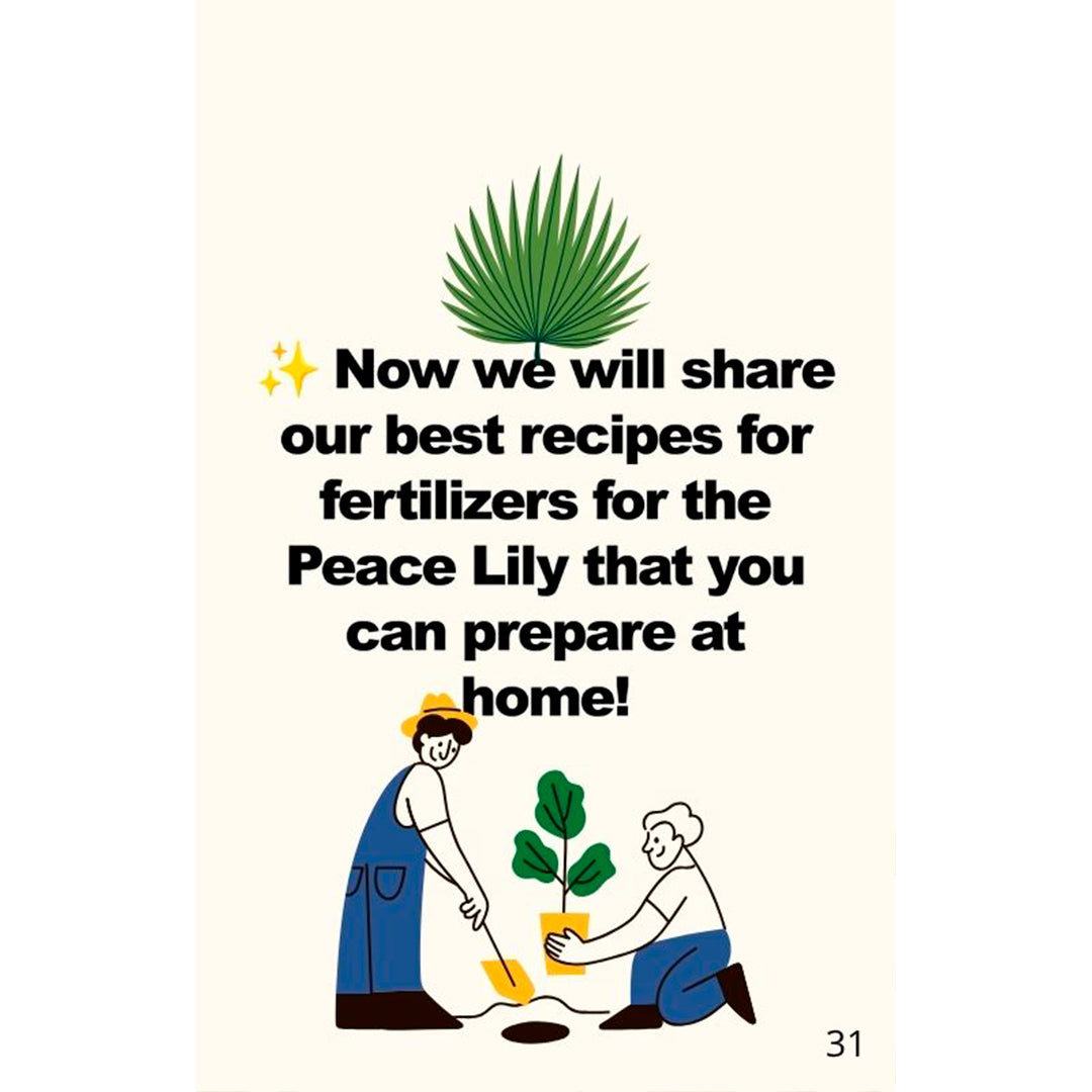 Peace Lily ULTIMATE Care Guide (En)